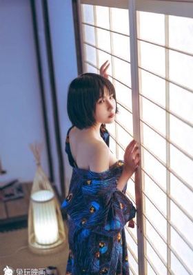 女警花之夜三级