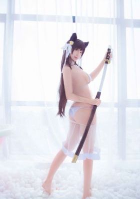 拉布拉多警长